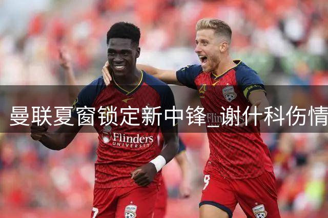曼联夏窗锁定新中锋 谢什科伤情未明齐尔克泽或离队